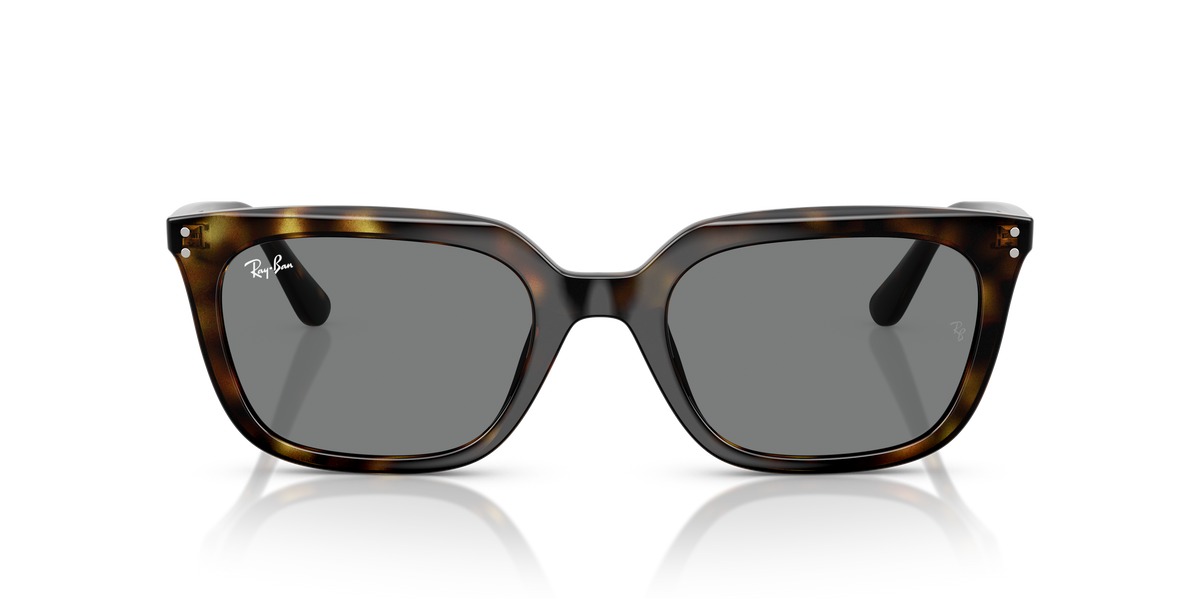Ray-Ban RB4439D 710/87