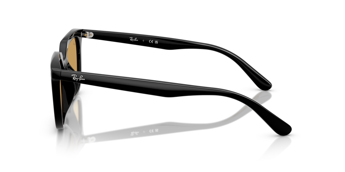 Ray-Ban RB4439D 901/73