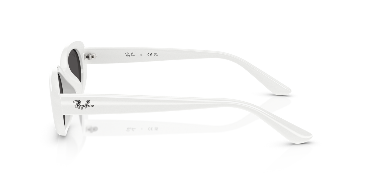 Ray-Ban RB4441D 677287