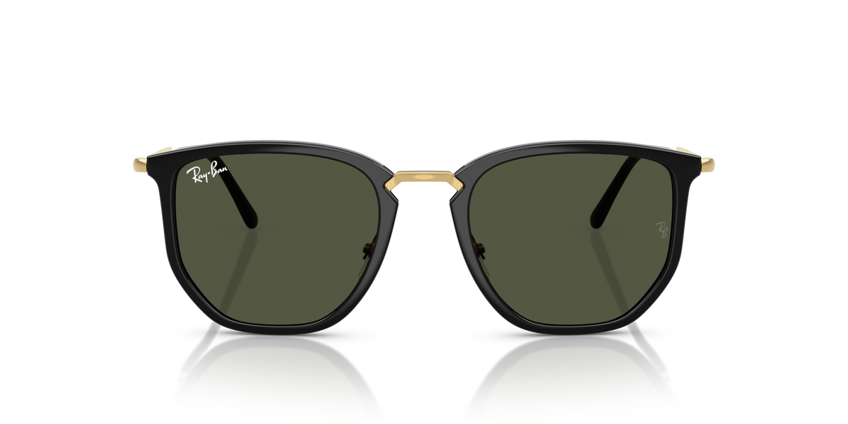 Ray-Ban RB4451 630631