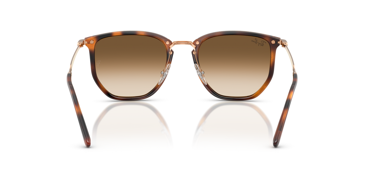 Ray-Ban RB4451 680451