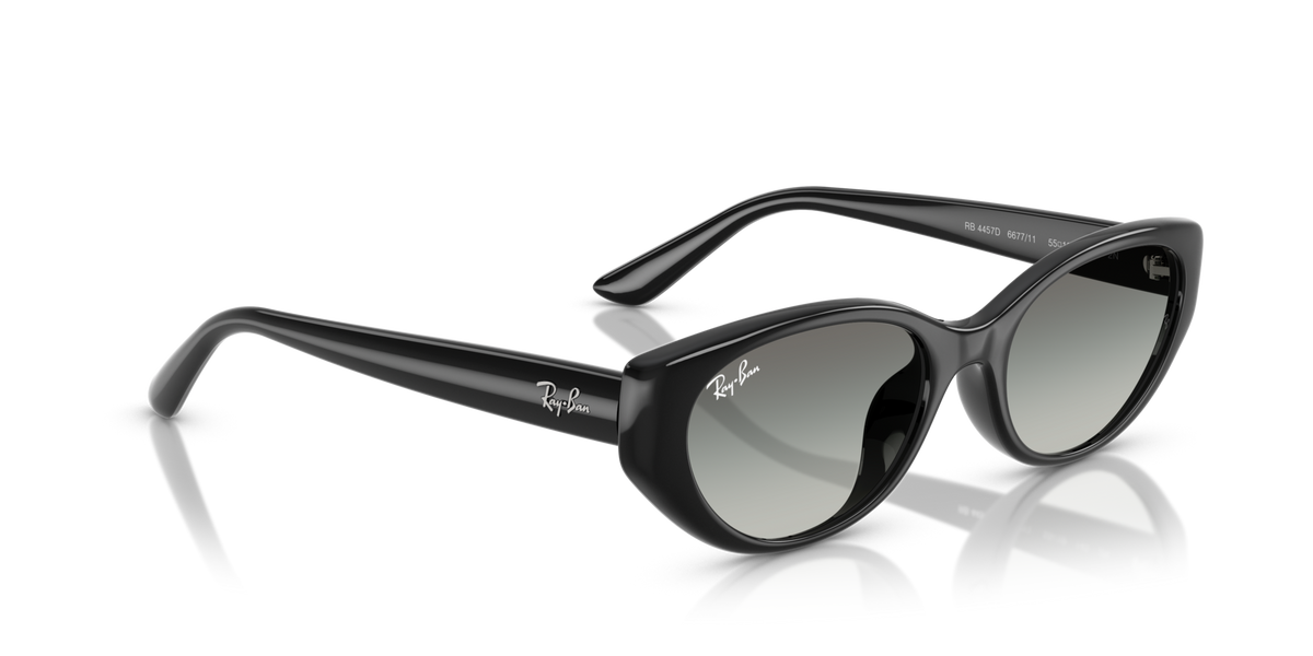 Ray-Ban RB4457D 667711