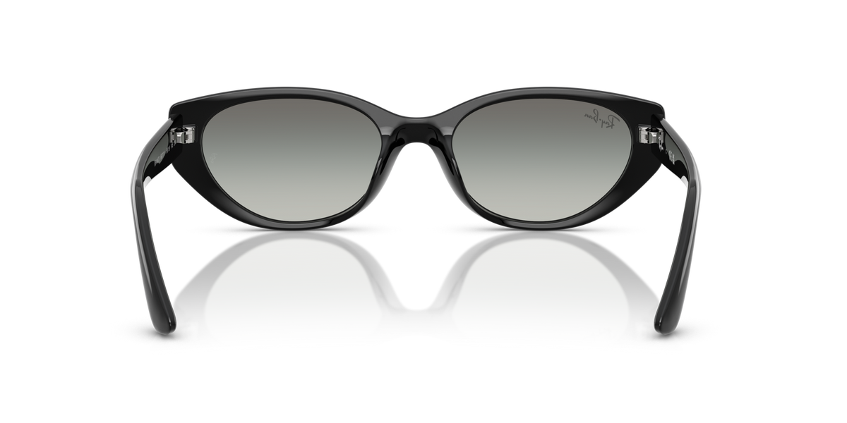 Ray-Ban RB4457D 667711