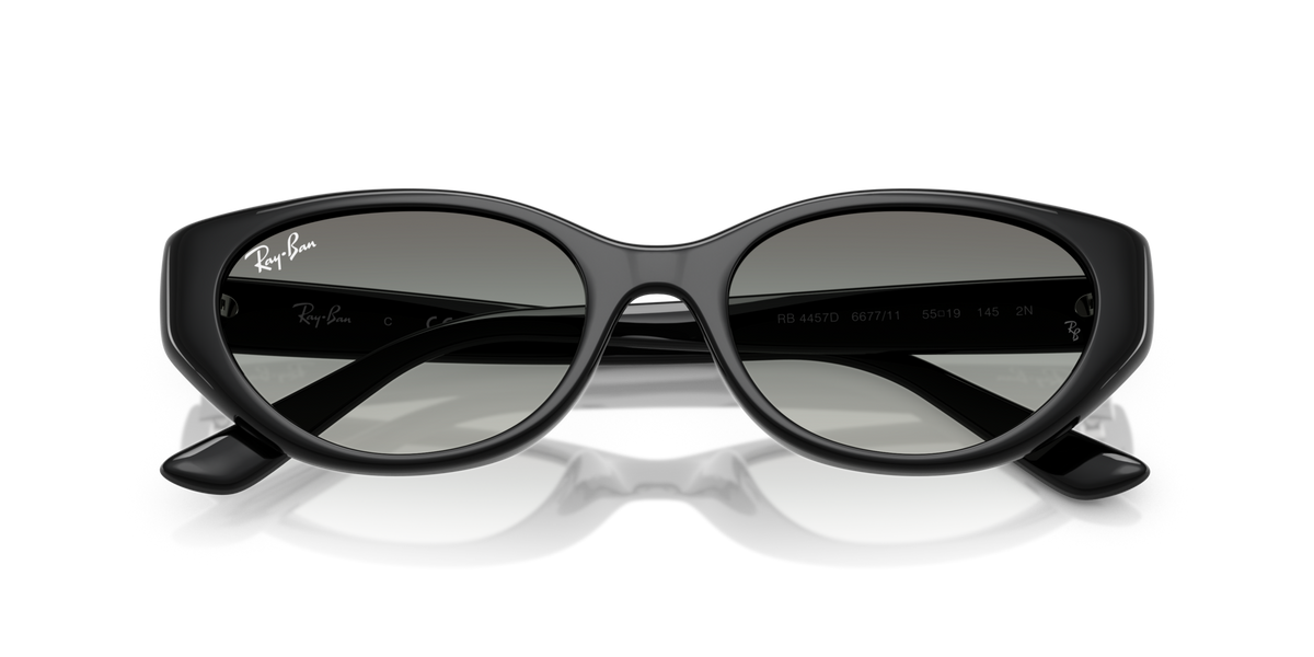 Ray-Ban RB4457D 667711