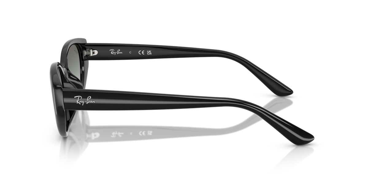 Ray-Ban RB4457D 667711