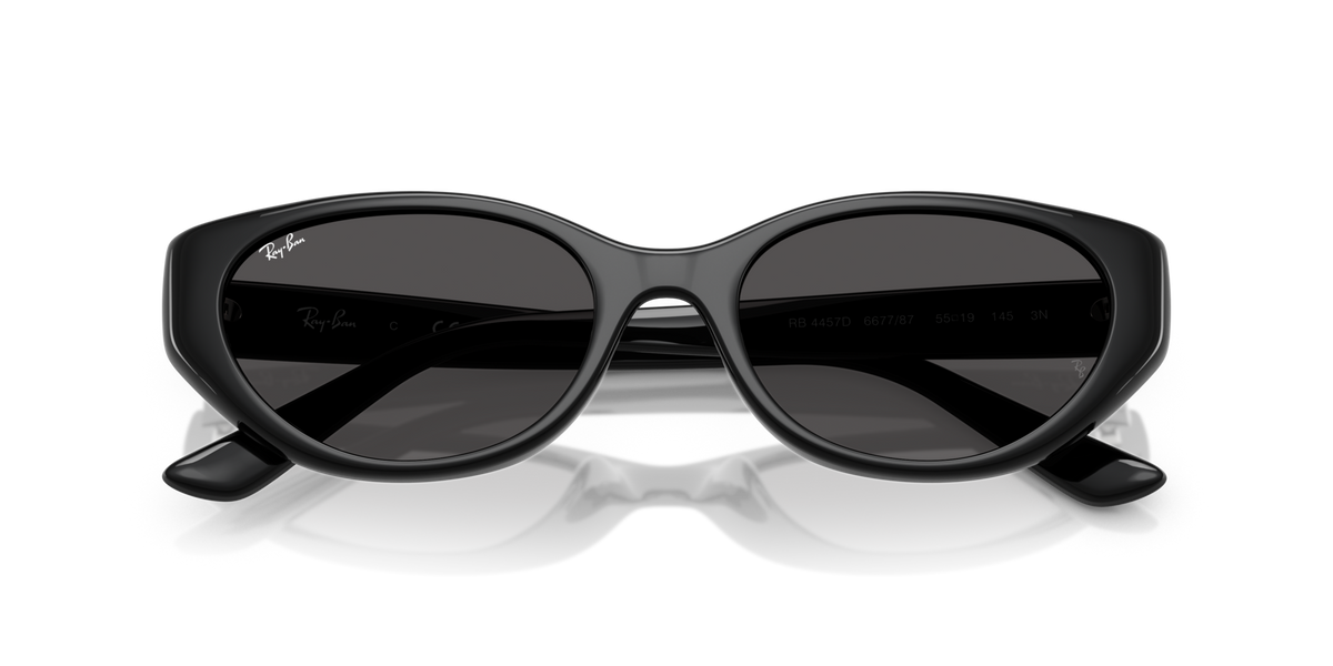 Ray-Ban RB4457D 667787