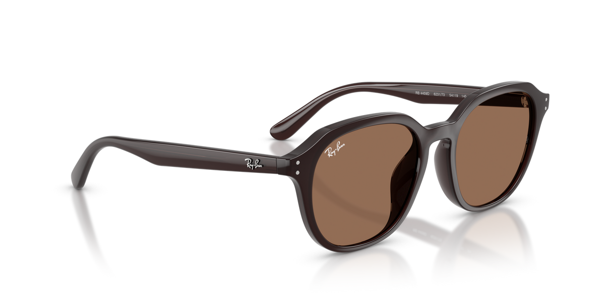 Ray-Ban RB4459D 623173