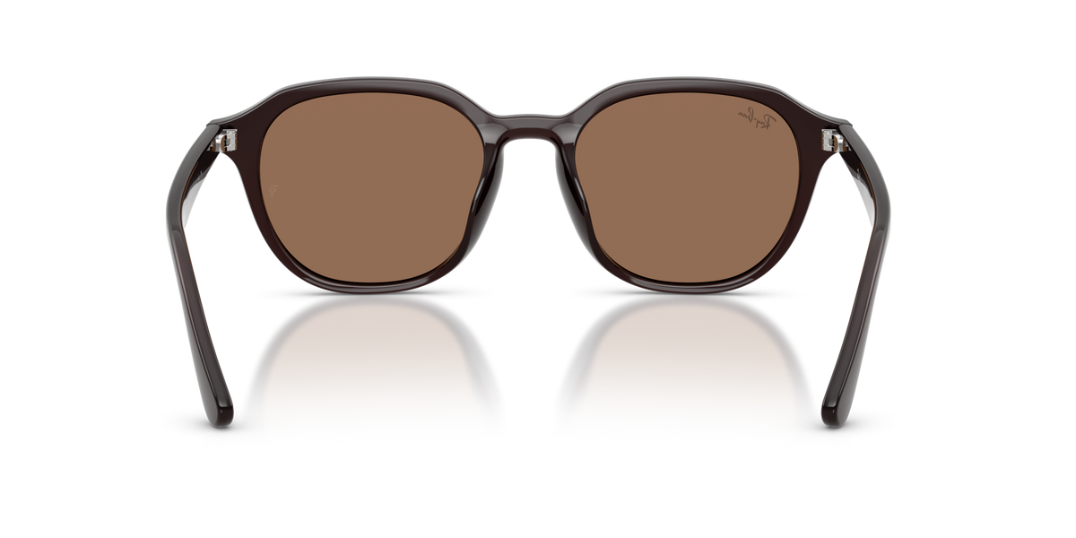Ray-Ban RB4459D 623173