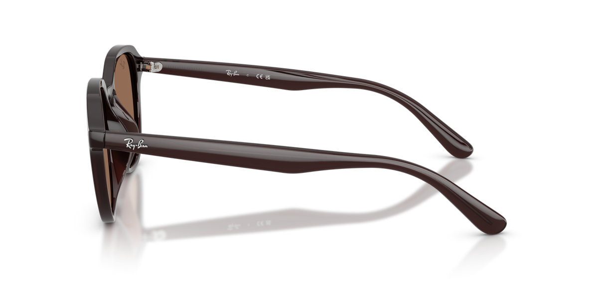 Ray-Ban RB4459D 623173