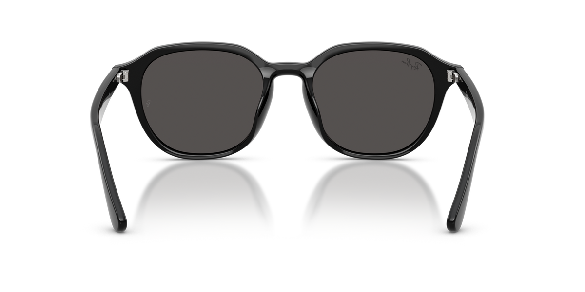 Ray-Ban RB4459D 901/87