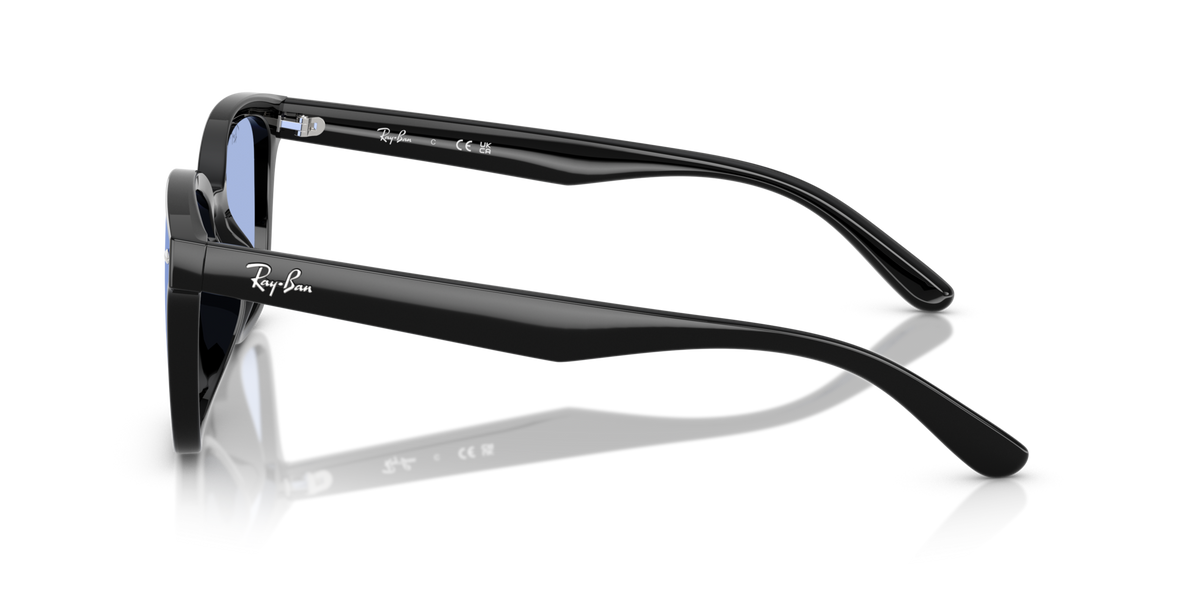 Ray-Ban RB4461D 601/80