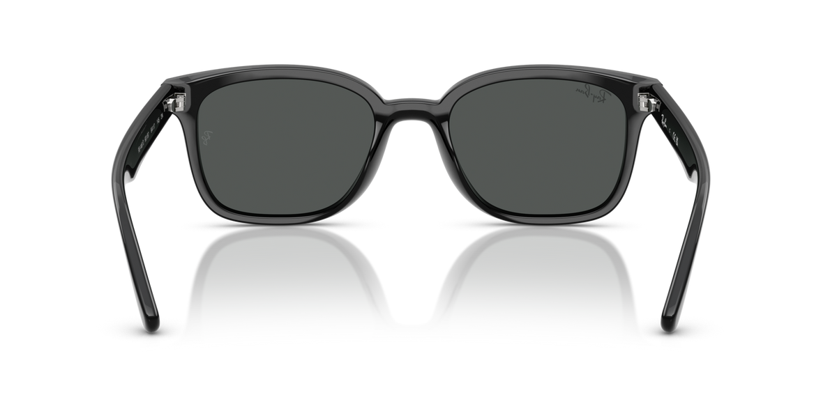 Ray-Ban RB4461D 601/87
