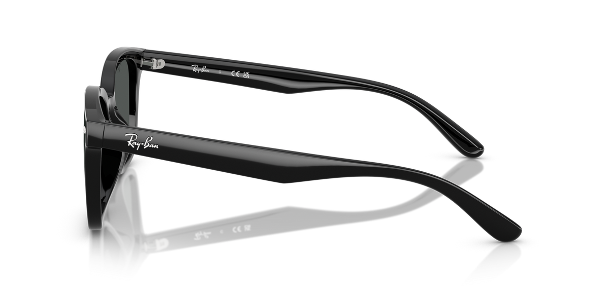 Ray-Ban RB4461D 601/87