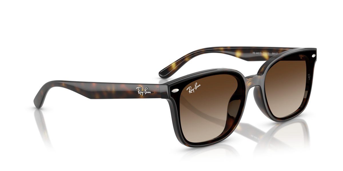Ray-Ban RB4461D 710/13
