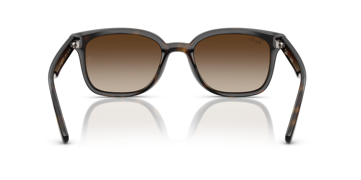 Ray-Ban RB4461D 710/13