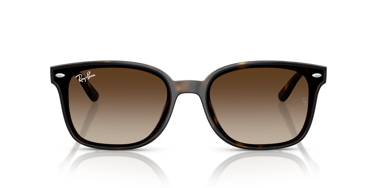 Ray-Ban RB4461D 710/13