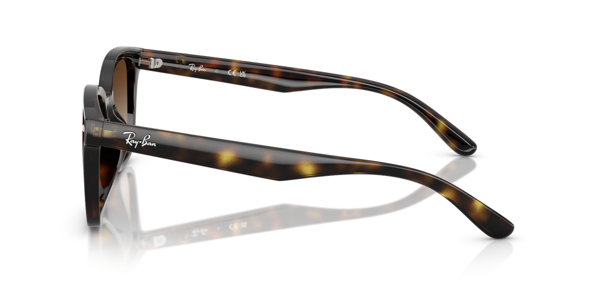 Ray-Ban RB4461D 710/13