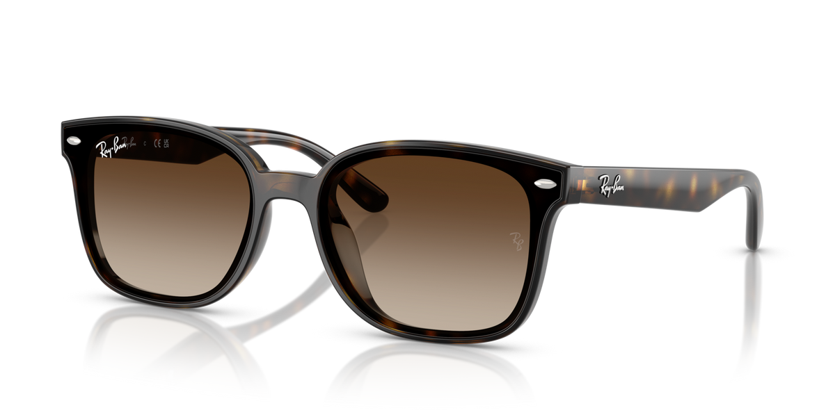 Ray-Ban RB4461D 710/13