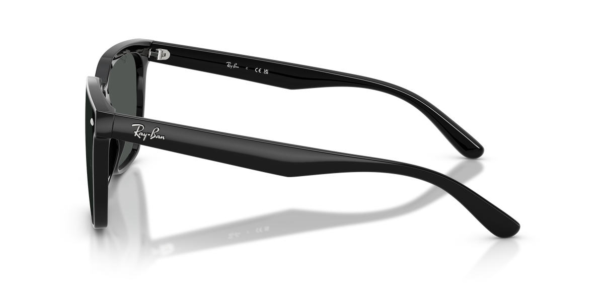 Ray-Ban RB4466D 601/87