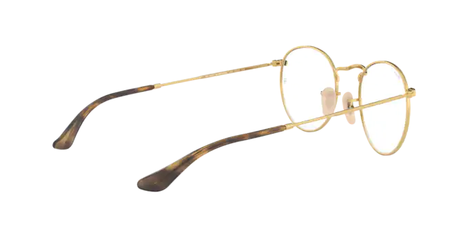 Ray-Ban Round Metal RX3447V 2500