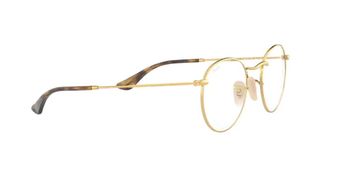 Ray-Ban Round Metal RX3447V 2500