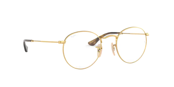 Ray-Ban Round Metal RX3447V 2500