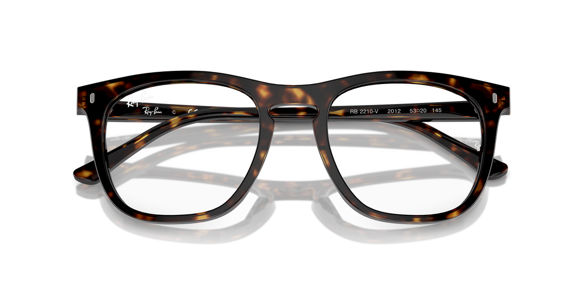 Ray-Ban RX2210V 2012