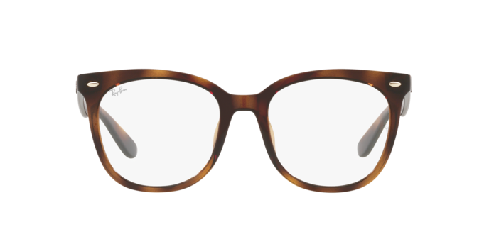 Ray-Ban RX4379VD 2012