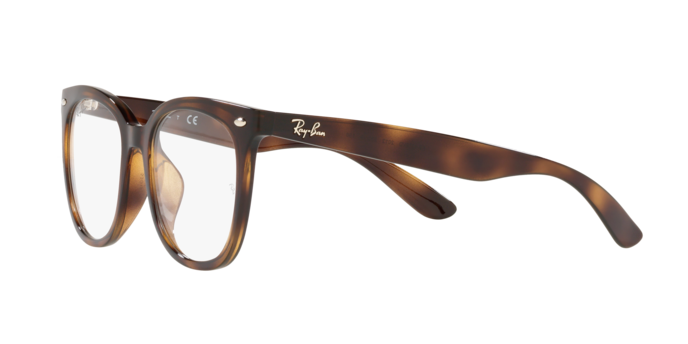 Ray-Ban RX4379VD 2012