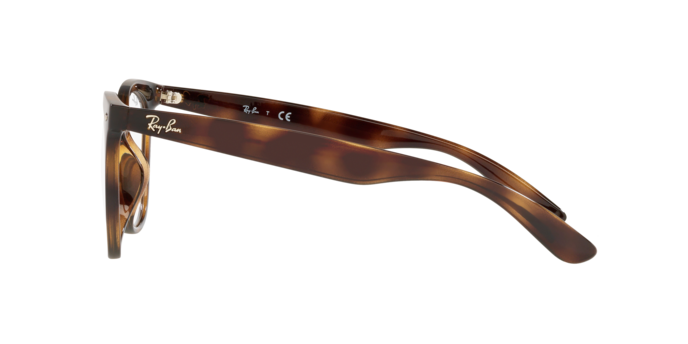 Ray-Ban RX4379VD 2012