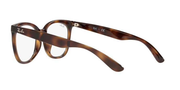 Ray-Ban RX4379VD 2012