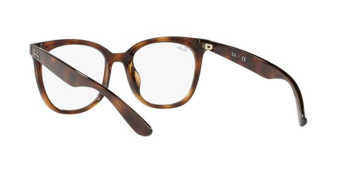Ray-Ban RX4379VD 2012