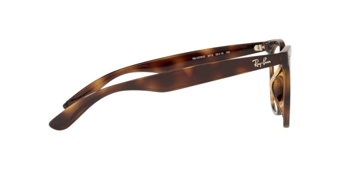 Ray-Ban RX4379VD 2012