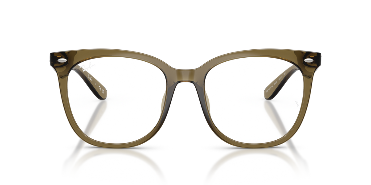 Ray-Ban RX4379VD 8445