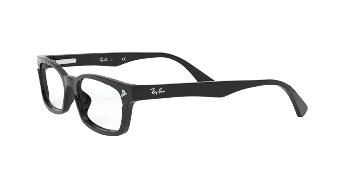 Ray-Ban RX5017A 2000