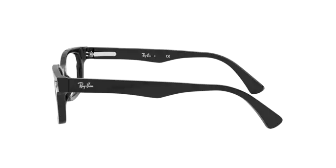 Ray-Ban RX5017A 2000