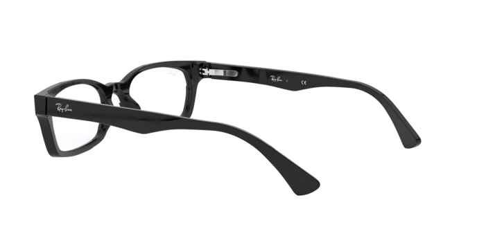 Ray-Ban RX5017A 2000