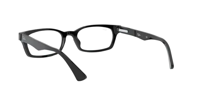 Ray-Ban RX5017A 2000