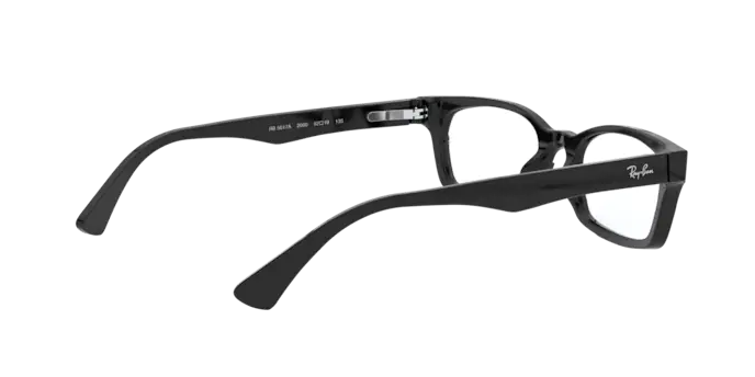 Ray-Ban RX5017A 2000