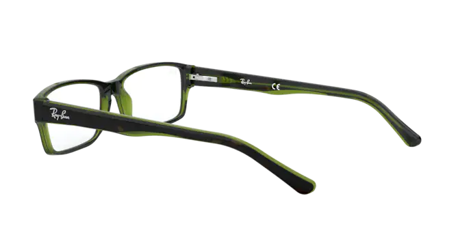 Ray-Ban RX5169 2383