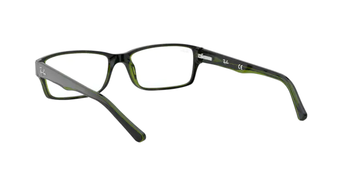 Ray-Ban RX5169 2383