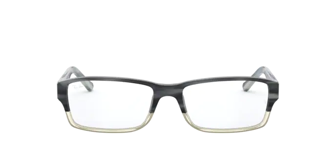 Ray-Ban RX5169 5540