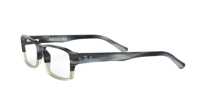 Ray-Ban RX5169 5540