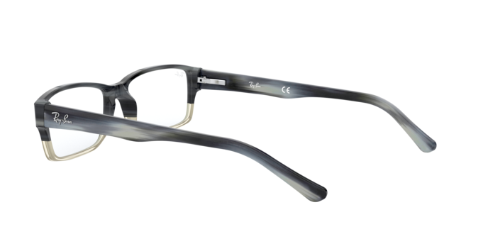 Ray-Ban RX5169 5540