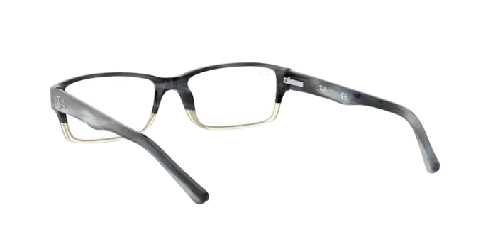 Ray-Ban RX5169 5540