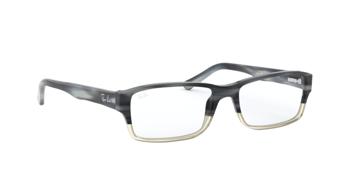 Ray-Ban RX5169 5540