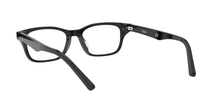 Ray-Ban RX5345D 2000