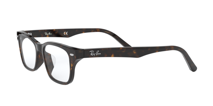 Ray-Ban RX5345D 2012