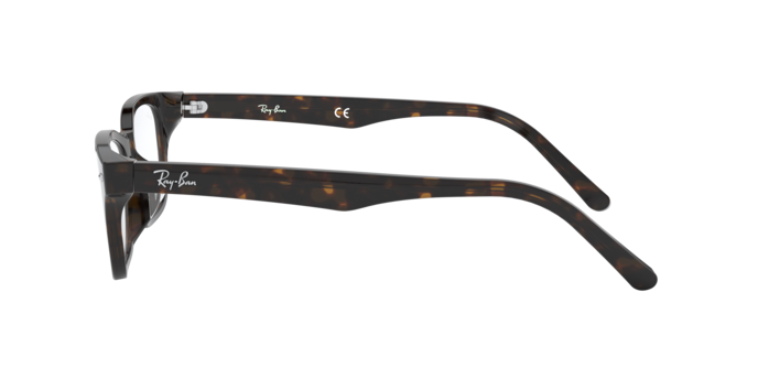 Ray-Ban RX5345D 2012