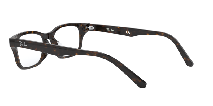 Ray-Ban RX5345D 2012